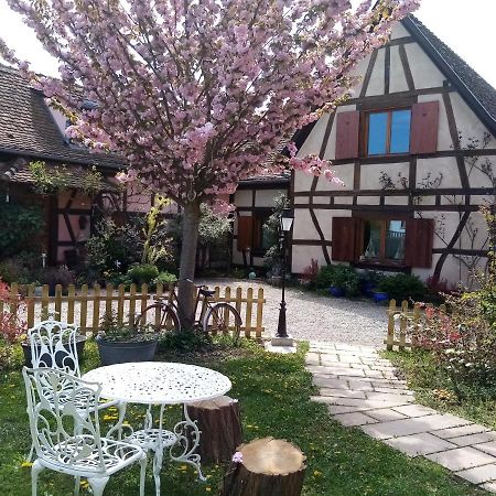 Bed and Breakfast Hissele Hilsenheim Екстер'єр фото